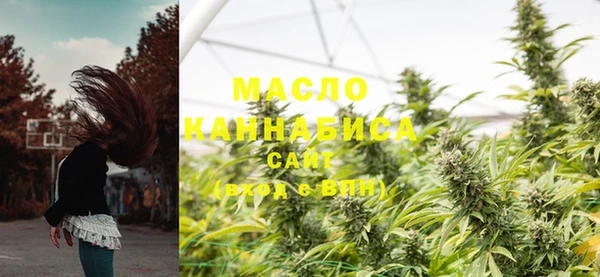крисы Аркадак