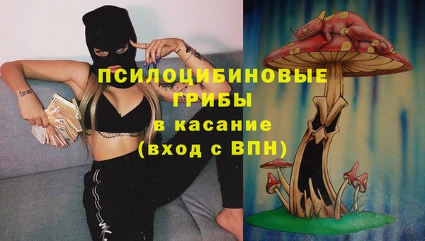 a pvp Алексин
