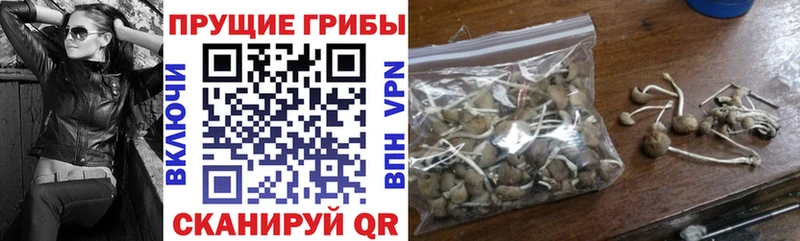Галлюциногенные грибы ЛСД  Лахденпохья 